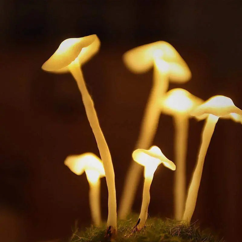 Tylna mushroom lamp under glass dome, wood base | Wickleigh
