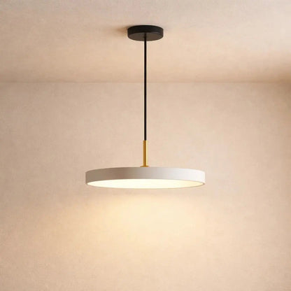 Svane pendant light | Wickleigh