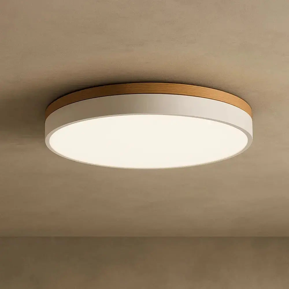 Dovna ceiling light | Wickleigh