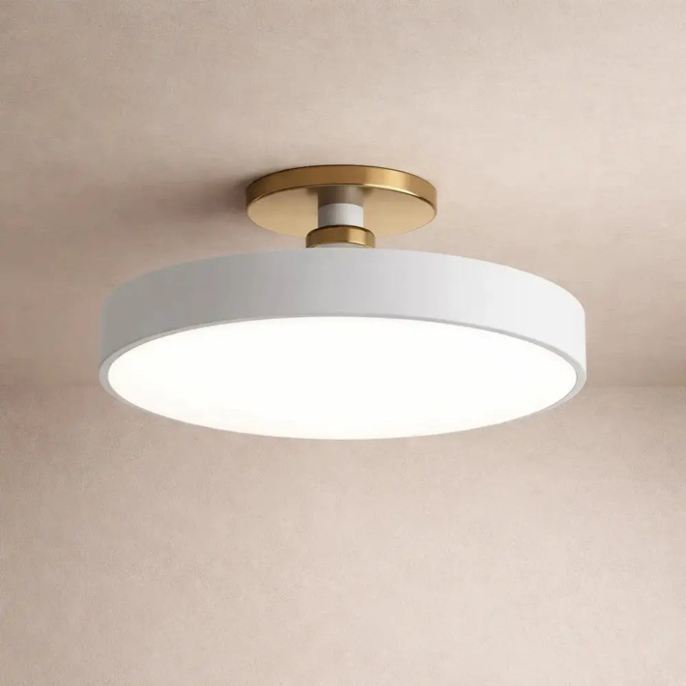 Fenin ceiling light | Wickleigh