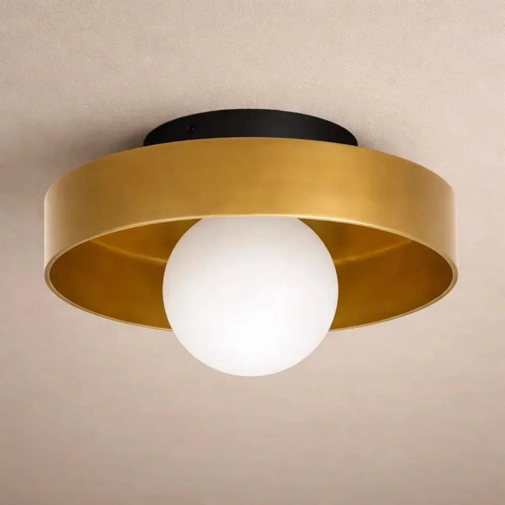 Myrren flush ceiling light, glass globe and iron disc, packshot | Wickleigh