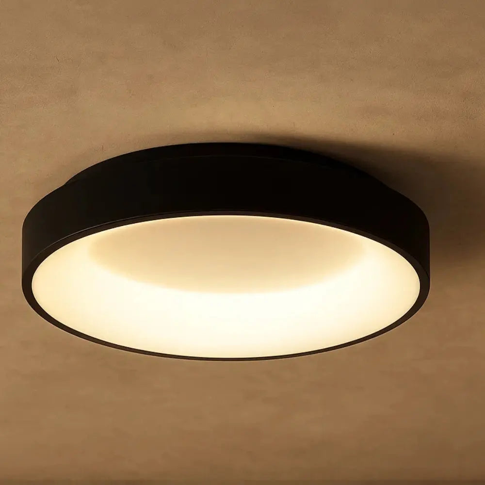 Ulina ceiling light | Wickleigh