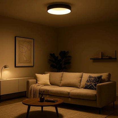 Ulina ceiling light | Wickleigh