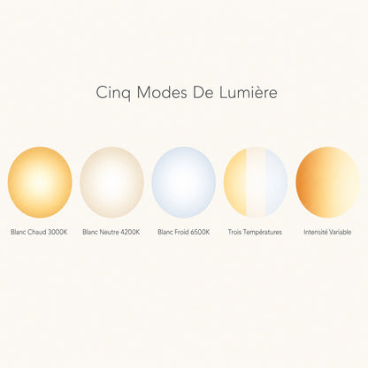 The five light settings of the Urven pendant light, from warm white 3000K to dimmable | Wickleigh