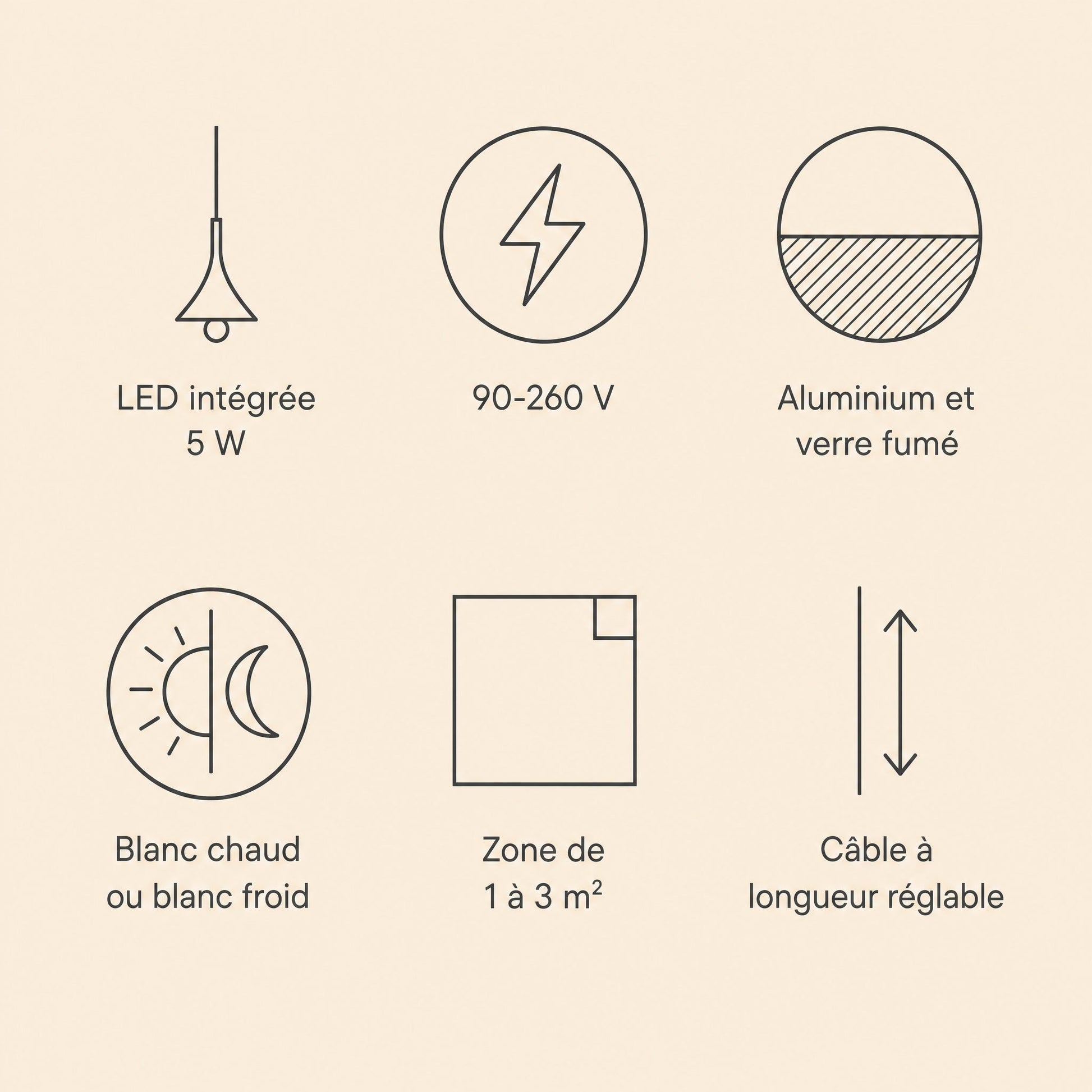Specifications of the Falen pendant light, integrated 5 W LED, 90-260 V, aluminium and smoked glass | Wickleigh