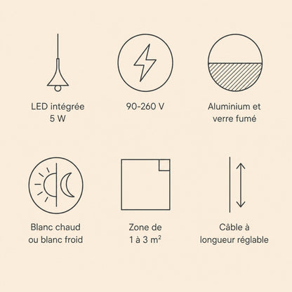 Specifications of the Falen pendant light, integrated 5 W LED, 90-260 V, aluminium and smoked glass | Wickleigh